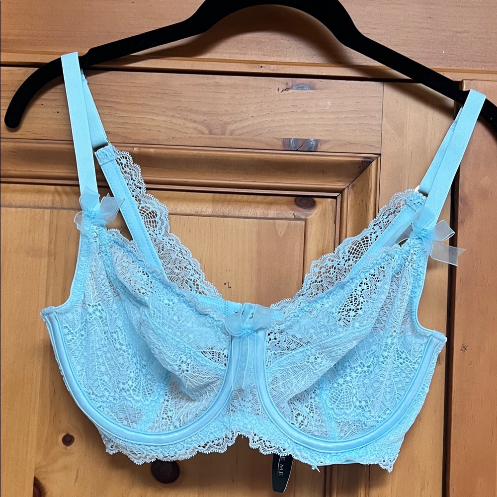 Adore Me Lace Bra in Soft Blue